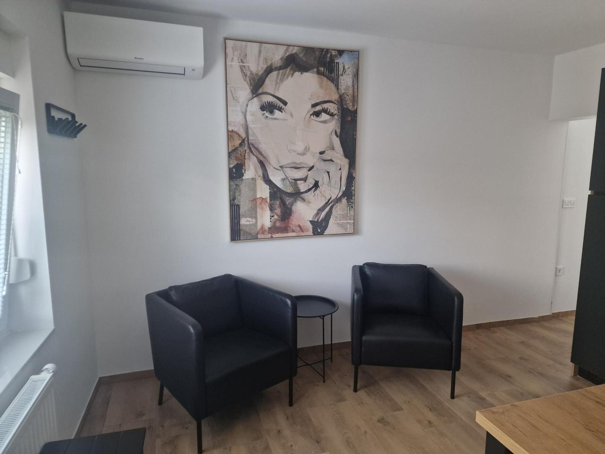 Apartment Selih ماريبور المظهر الخارجي الصورة